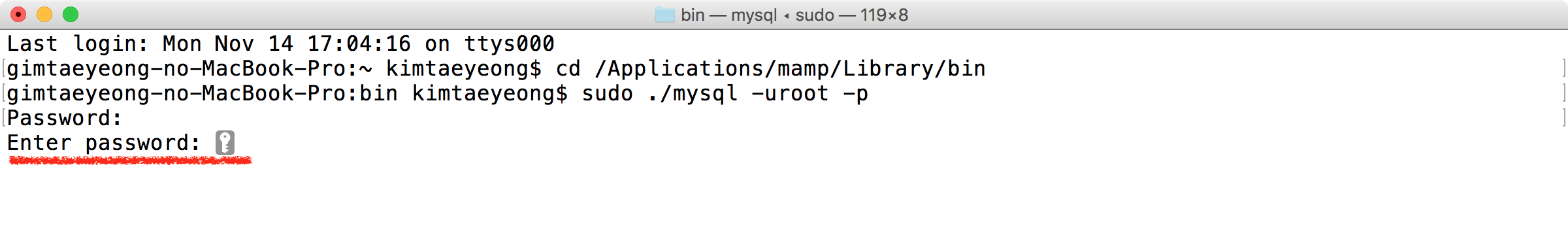 mysql image