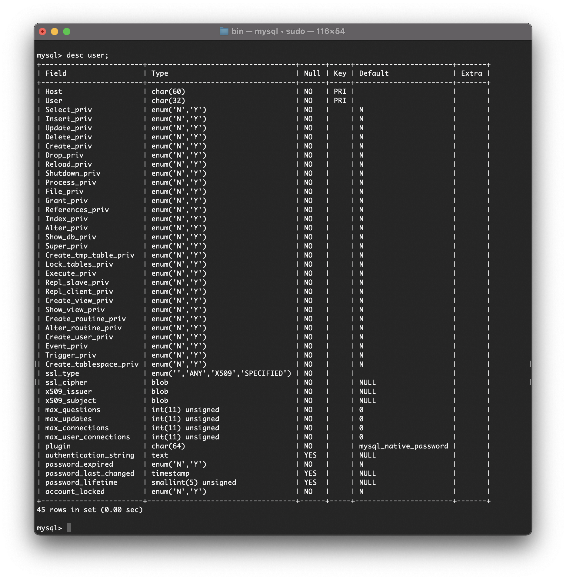 mysql image