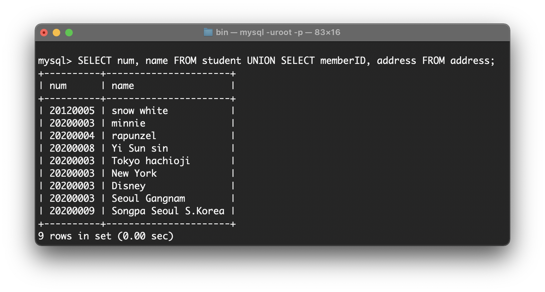 MySQL UNION ALL