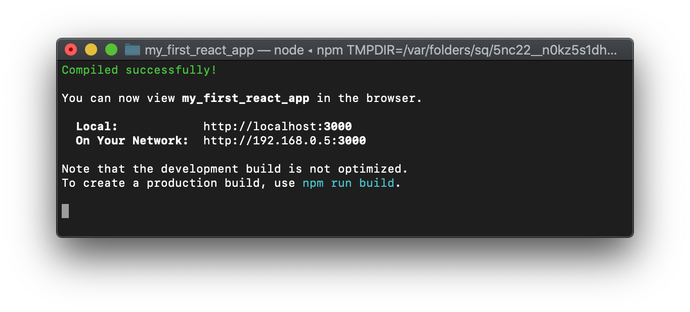 npm start