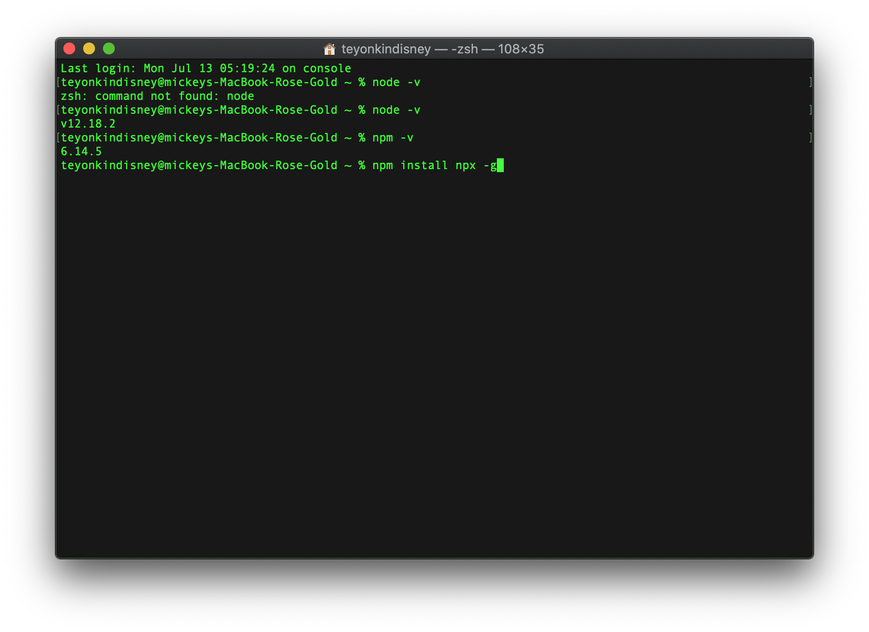 terminal npx install