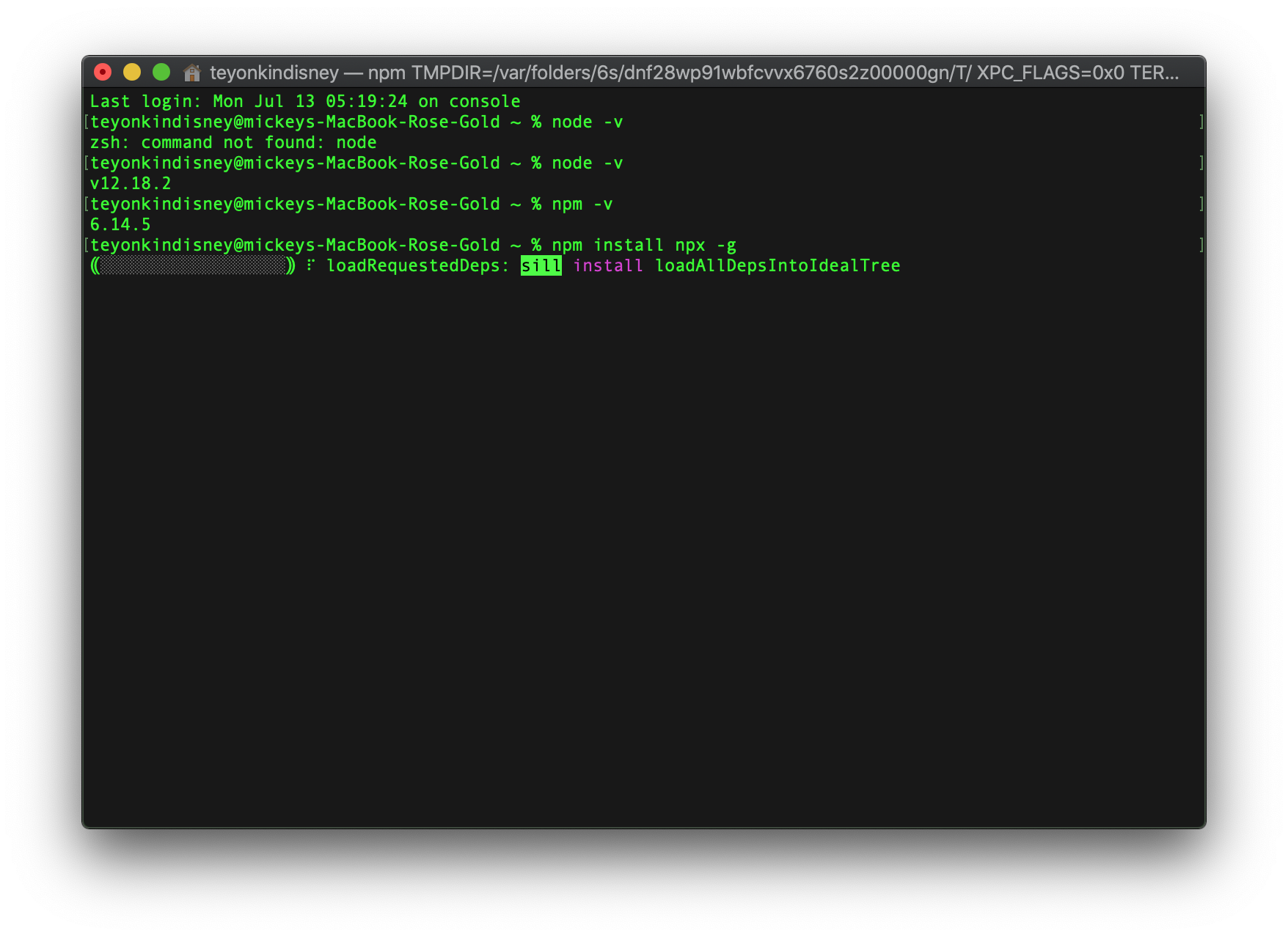 terminal npx install