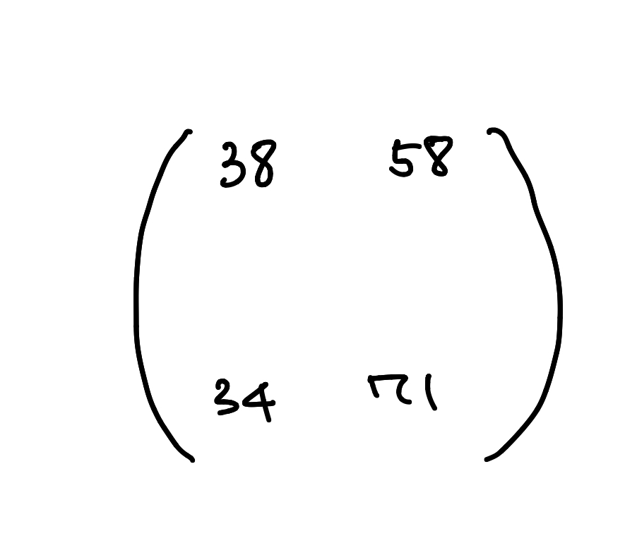 neuron matrix multiplication