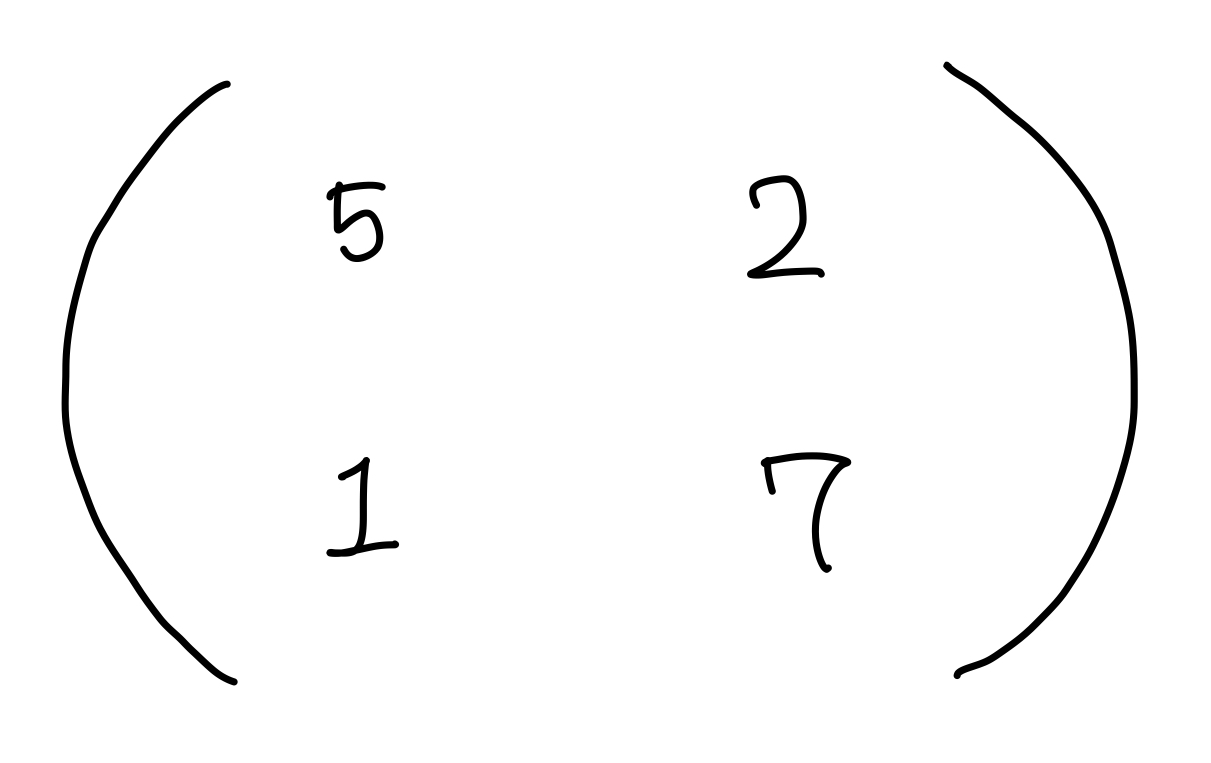 neuron matrix