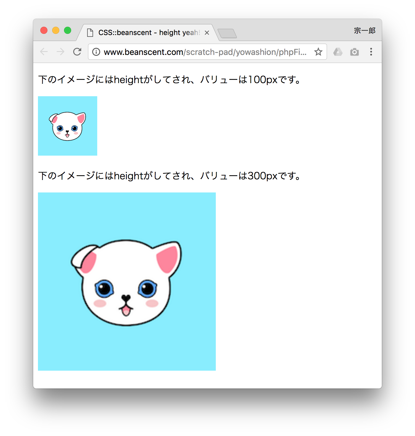 縦の長さ