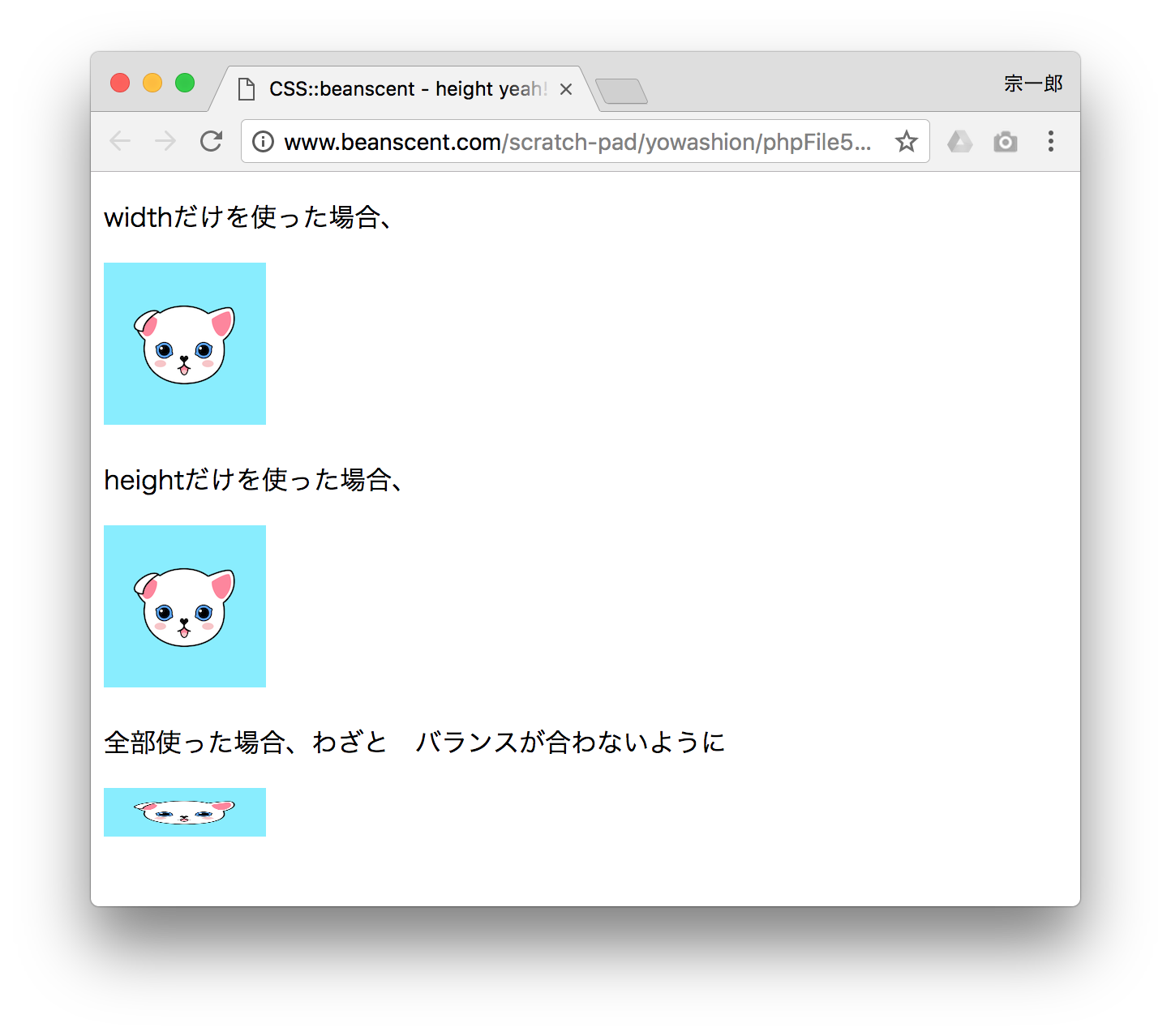縦の長さ